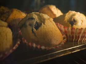 Blueberry Muffins